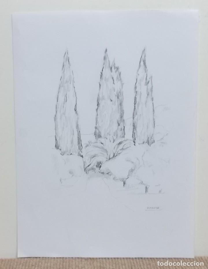 Arte: DIBUJO JORGE PEDRAZA - Foto 1