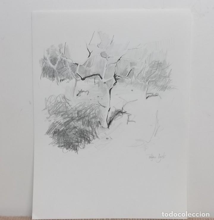 Arte: 8 DIBUJOS PELEGERO AGUST&Iacute; - Foto 5