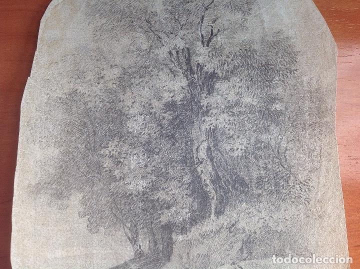 Arte: Joaqu&iacute;n Ara&uacute;jo. &Aacute;rboles. - Foto 2