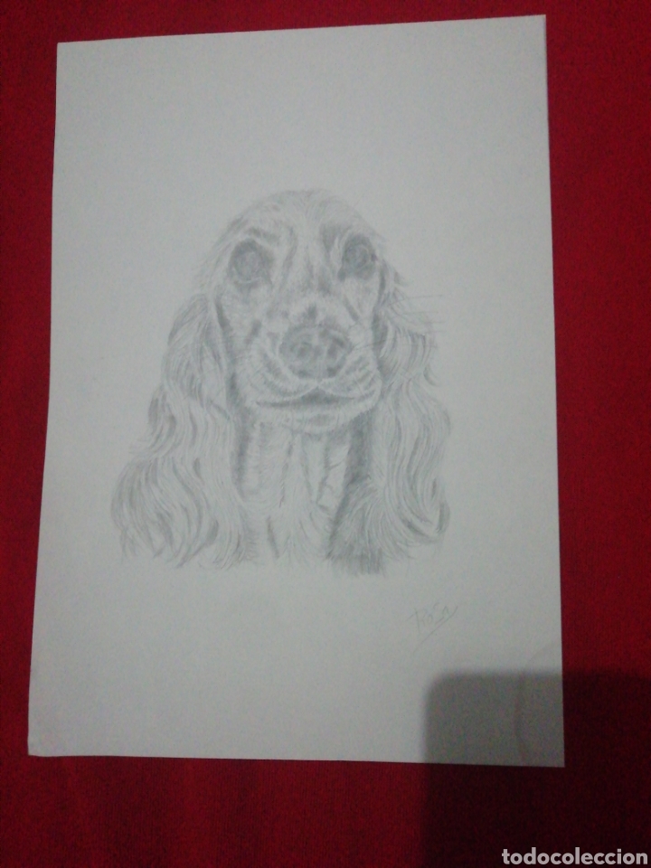 Arte: Grafito - Perro - A. Rosa Cintas - Foto 1