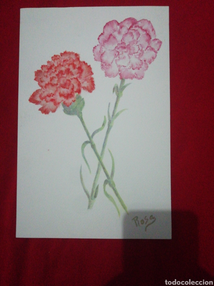 Arte: Acuarela--Claveles - Foto 1