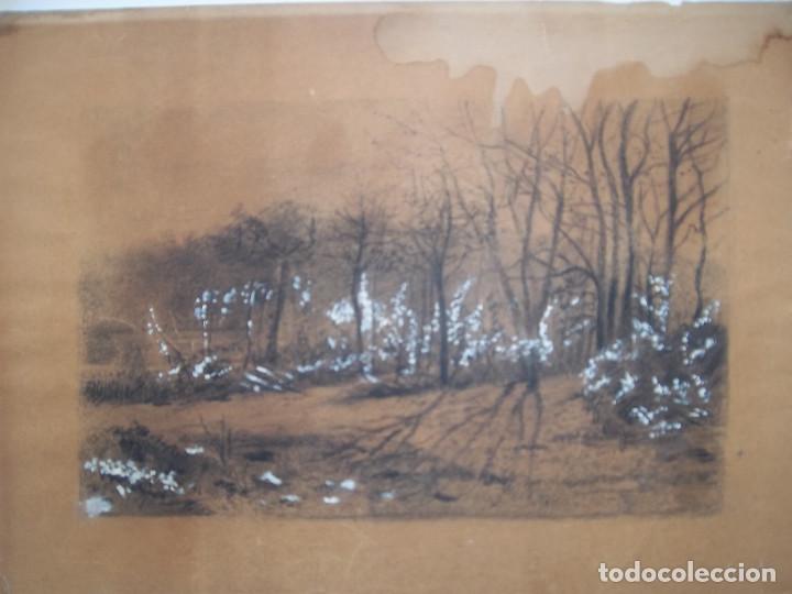 Arte: BONITO DIBUJO BOSQUE - Foto 1