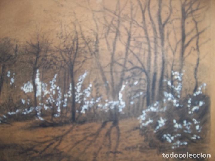 Arte: BONITO DIBUJO BOSQUE - Foto 2