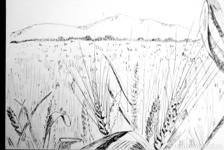 Art: Estilogr&aacute;fica - Estudio campo de trigo - 30x21