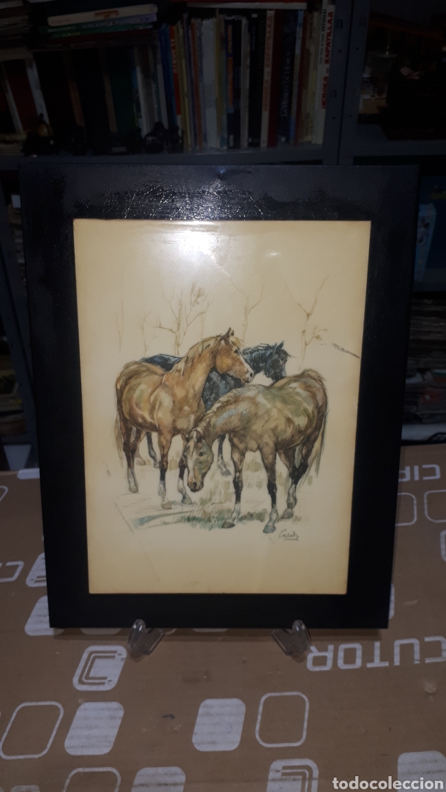 Arte: Dibujo plastificado CABALLOS firmado COLLADO