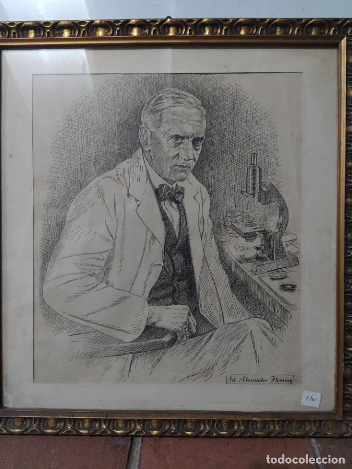 Arte: Dibujo del Dr. Fleming - Foto 1