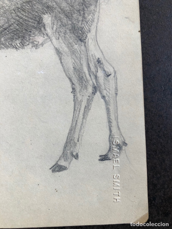 Arte: Ismael Smith, original de su cuaderno - Foto 2