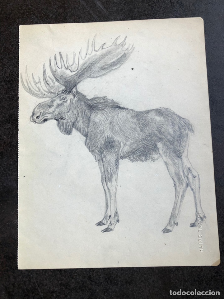 Arte: Ismael Smith, original de su cuaderno - Foto 1