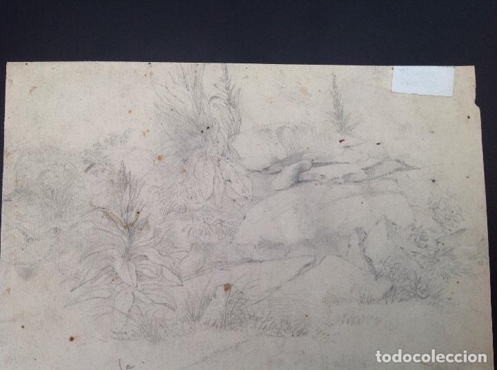 Arte: Vicente Poveda. Caba&ntilde;as. - Foto 3