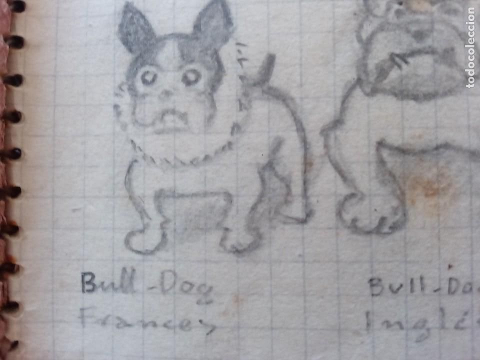 Arte: Ricardo Opisso. Dibujos originales. - Foto 2