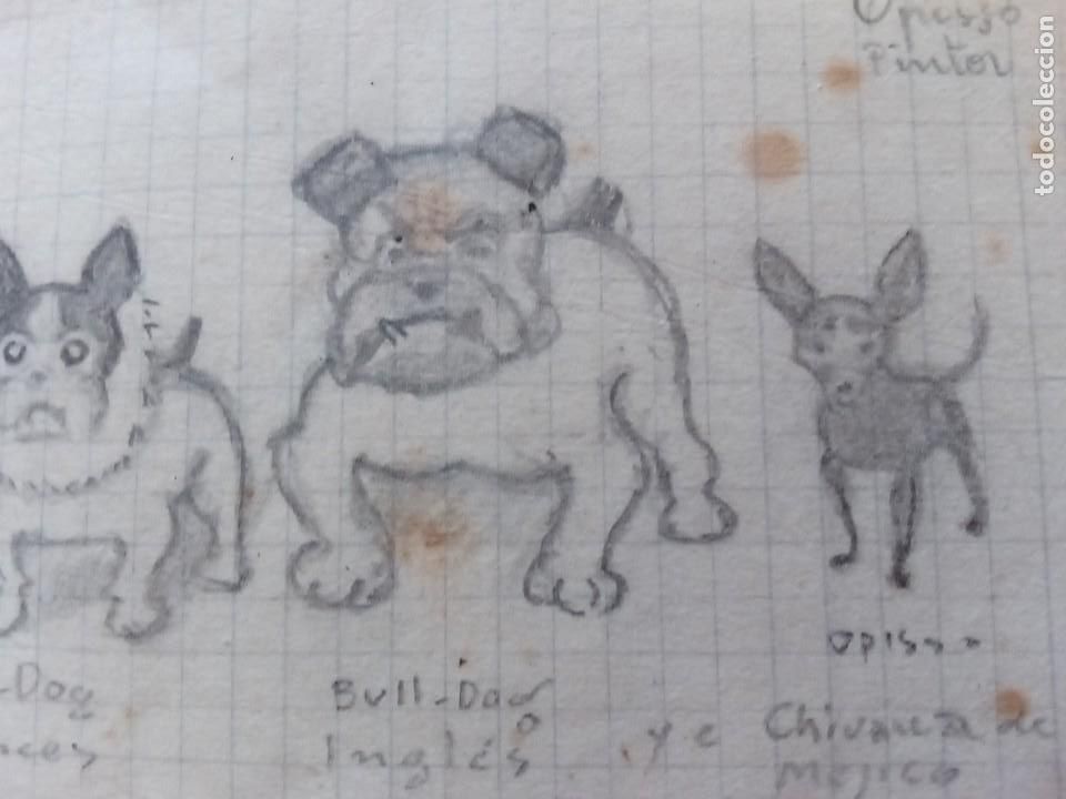 Arte: Ricardo Opisso. Dibujos originales. - Foto 3