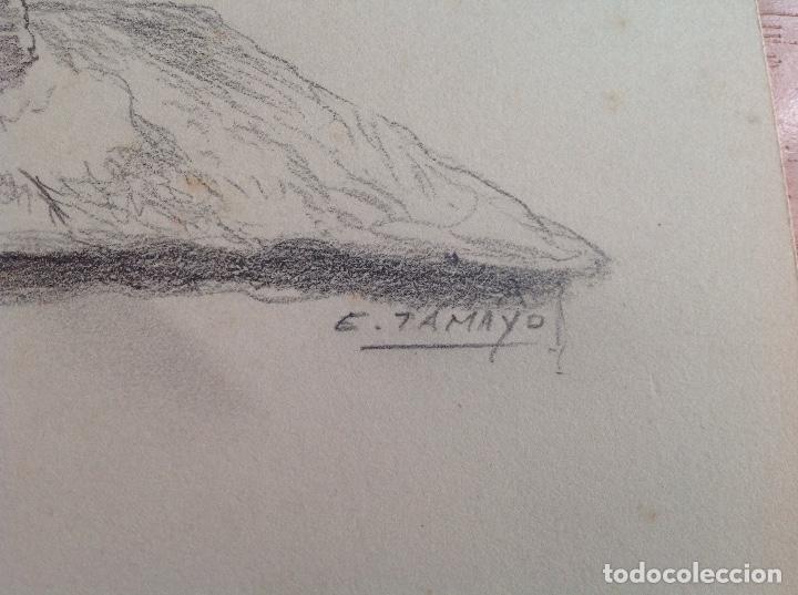 Arte: Eugenio Tamayo. Caba&ntilde;as. - Foto 2