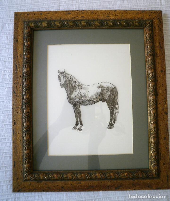 Arte: Caballo - Foto 1