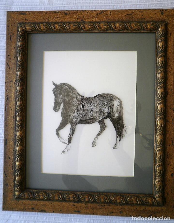 Arte: Caballo, dibujo. - Foto 1
