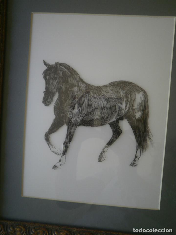 Arte: Caballo, dibujo. - Foto 2