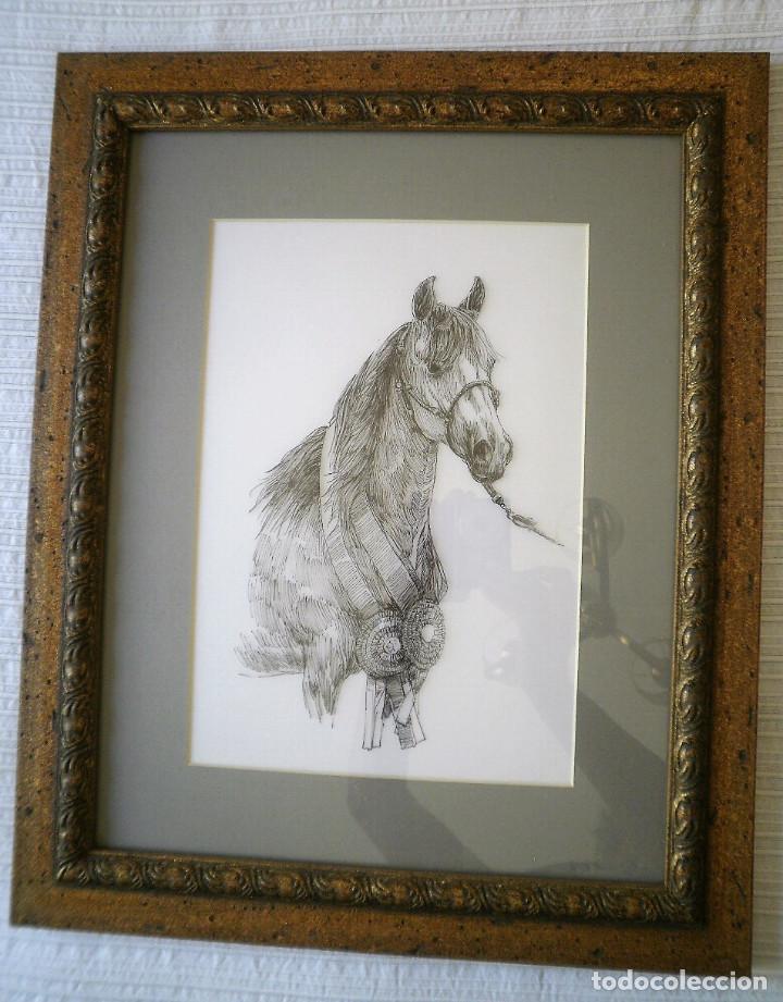 Arte: Caballo, dibujo. - Foto 1