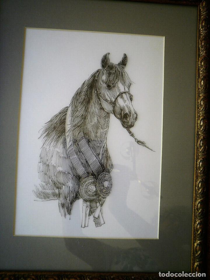 Arte: Caballo, dibujo. - Foto 2