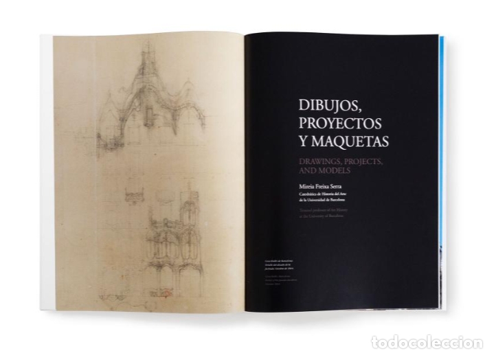 Arte: GAUD&Iacute; EN PRIMER PLANO - Foto 8