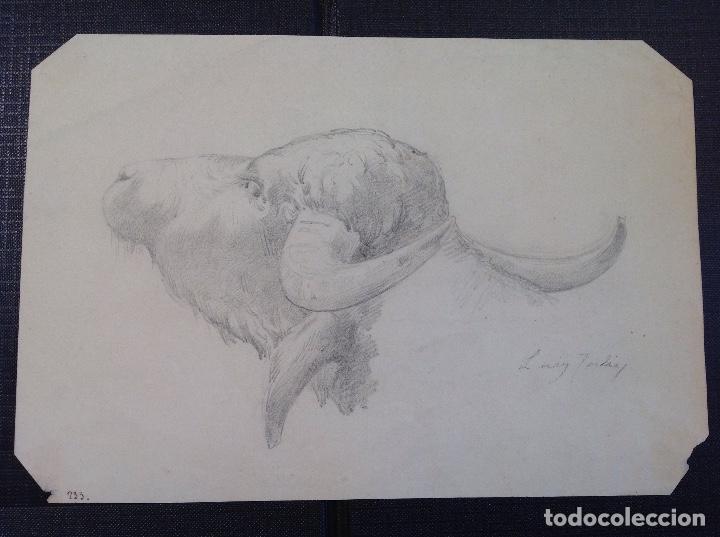 Arte: Luis Julia. Cabeza de toro. - Foto 1