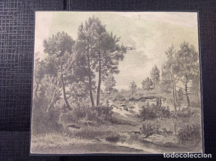 Arte: Juan Espina y Capo. Bosque. - Foto 1