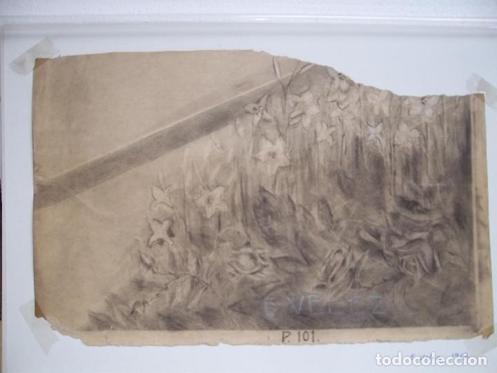 Arte: DIBUJO DE E. VELEZ - Foto 1