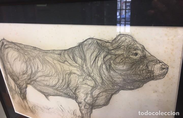 Arte: CUADRO FERNANDO CALDERON - TORO - Foto 2