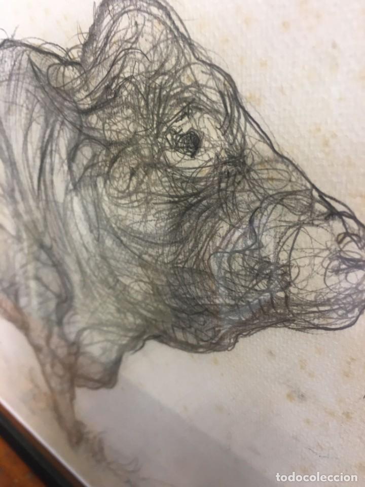 Arte: CUADRO FERNANDO CALDERON - TORO - Foto 5