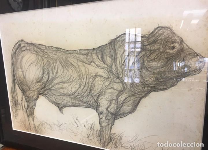 Arte: CUADRO FERNANDO CALDERON - TORO - Foto 6