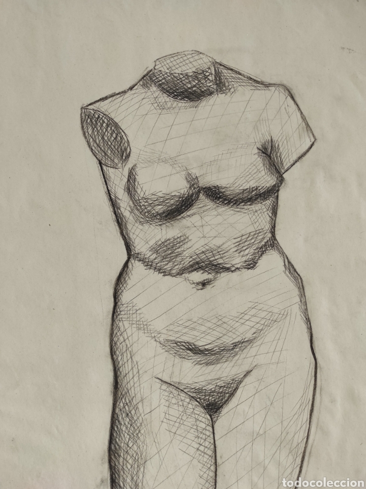 dibujo de torso femenino