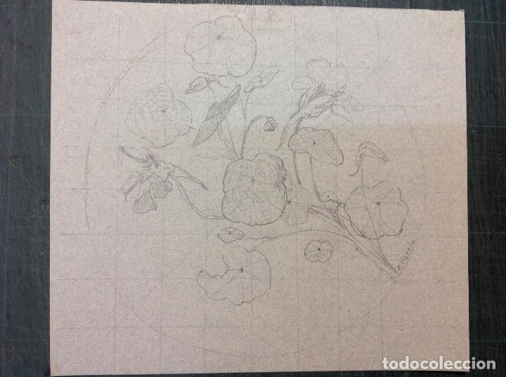 Arte: Eulogio Varela. Estudios bot&aacute;nicos. - Foto 3