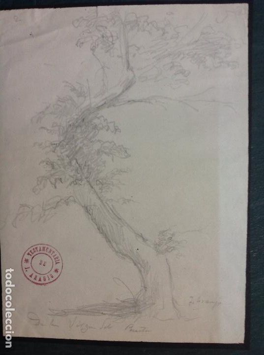 Arte: Joaqu&iacute;n Ara&uacute;jo. Arbol. - Foto 1