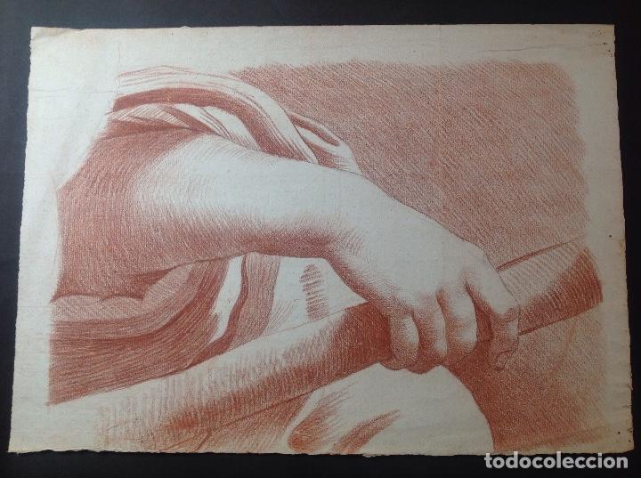 Arte: An&oacute;nimo. Estudi&oacute; de un brazo. - Foto 1