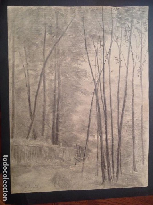 Arte: Ramiro Lafuente. El bosque. - Foto 1