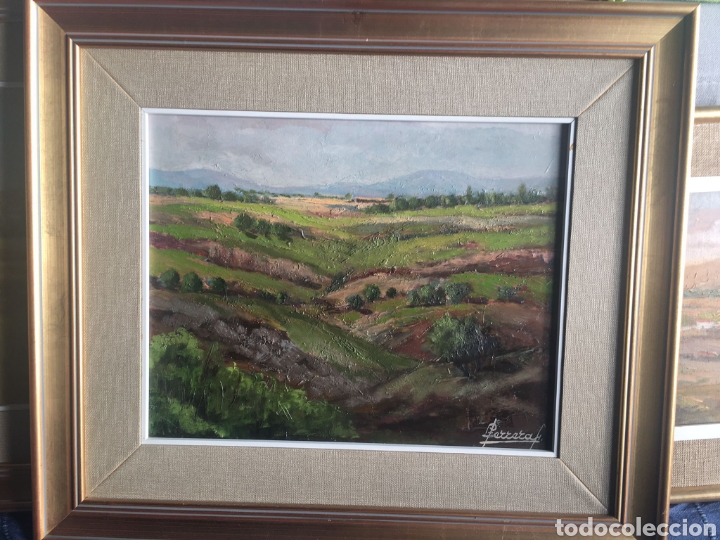 Arte: CUADRO LUIS FERRERA FERNANDEZ - Foto 1