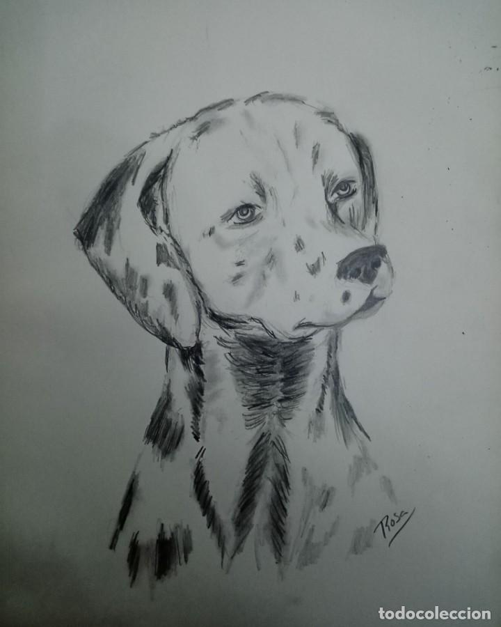 Arte: Dalmata, grafito - Foto 1