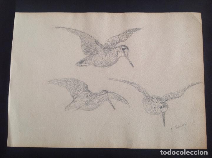Arte: Federico Jim&eacute;nez. P&aacute;jaros. - Foto 1