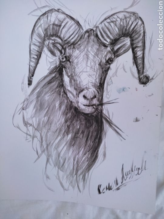 Arte: Cabra ( original ) - Foto 2