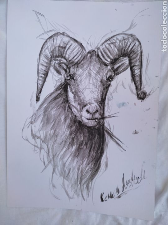 Arte: Cabra ( original ) - Foto 3