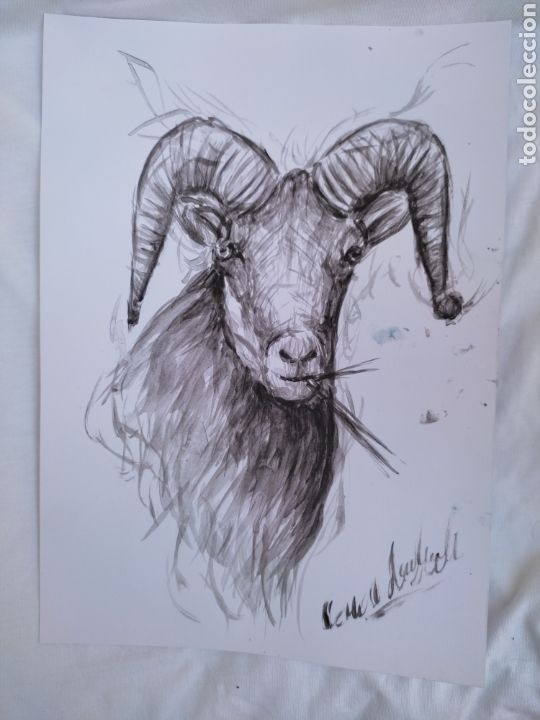 Arte: Cabra ( original ) - Foto 4