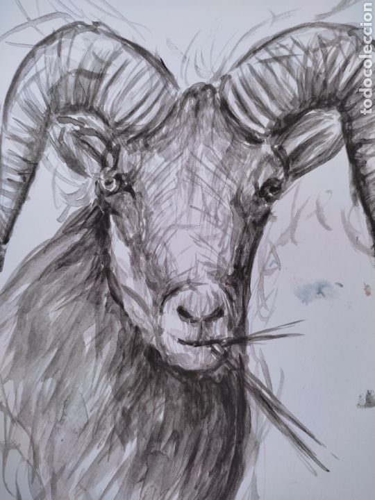 Arte: Cabra ( original ) - Foto 5