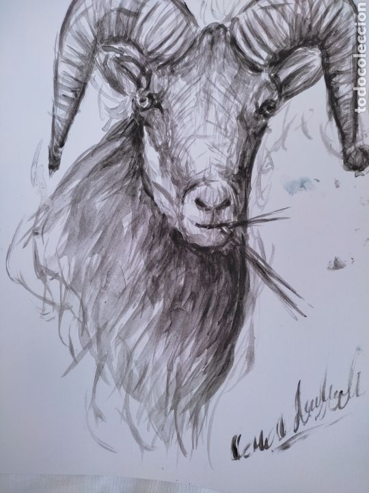 Arte: Cabra ( original ) - Foto 1