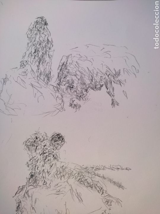 Arte: Boceto taurino ( original ) - Foto 2
