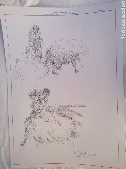 Arte: Boceto taurino ( original ) - Foto 4