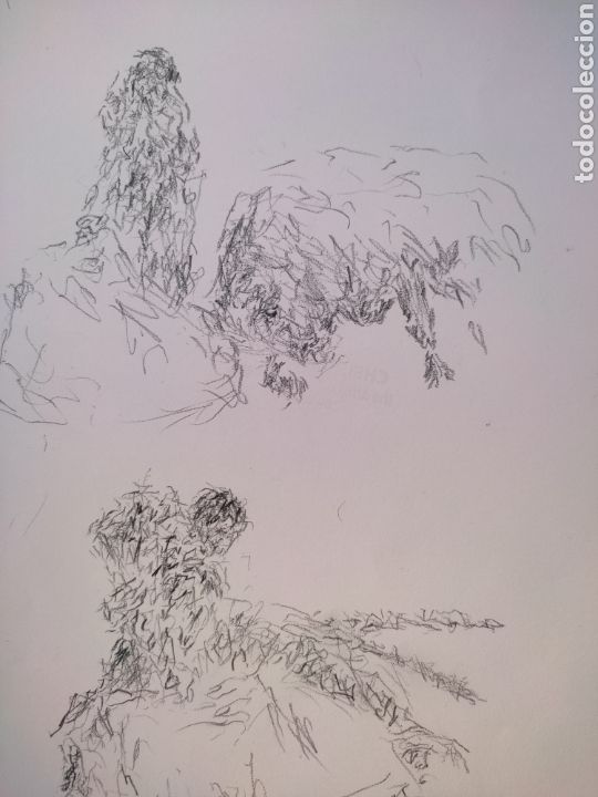 Arte: Boceto taurino ( original ) - Foto 5