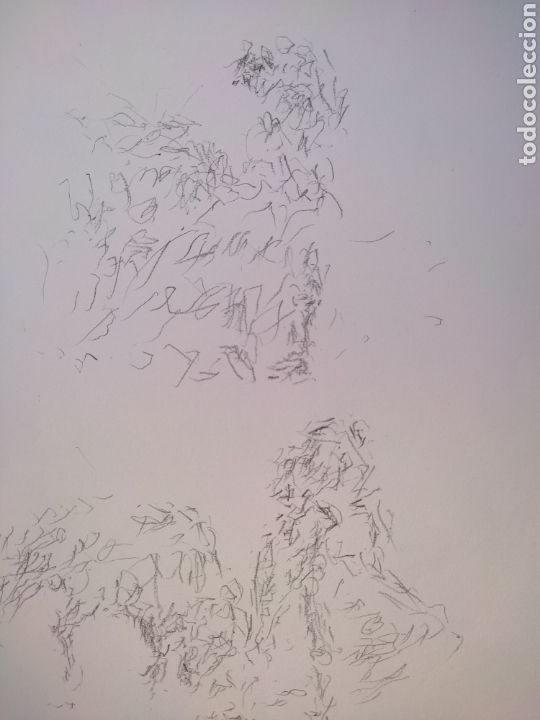 Arte: Boceto taurino - Foto 2