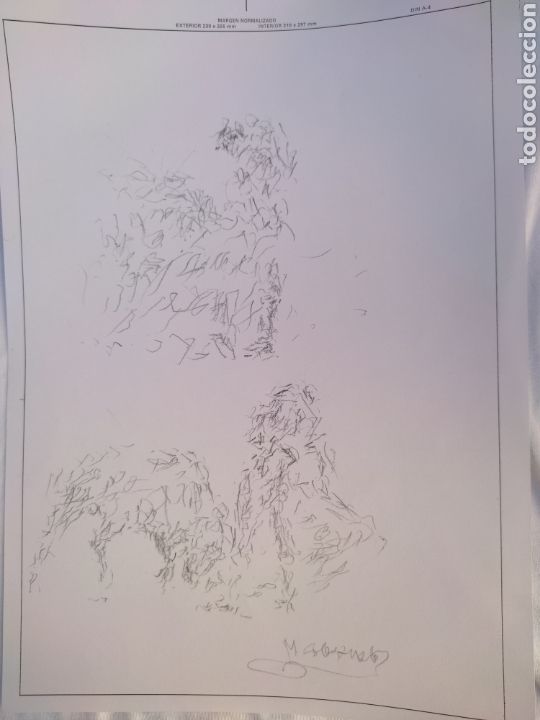 Arte: Boceto taurino - Foto 3