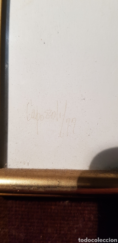 Arte: Dibujo GLAUCO CAPAZZOLI - Foto 4