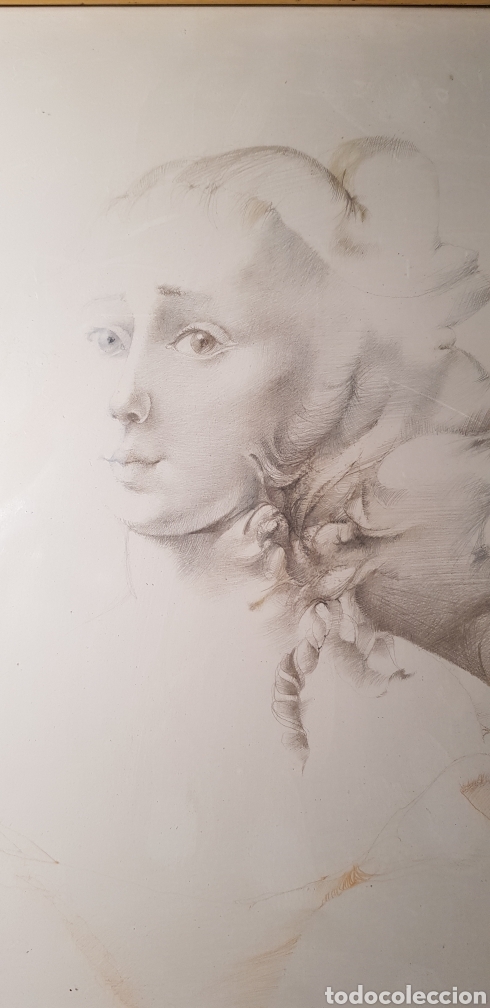 Arte: Dibujo GLAUCO CAPAZZOLI - Foto 1