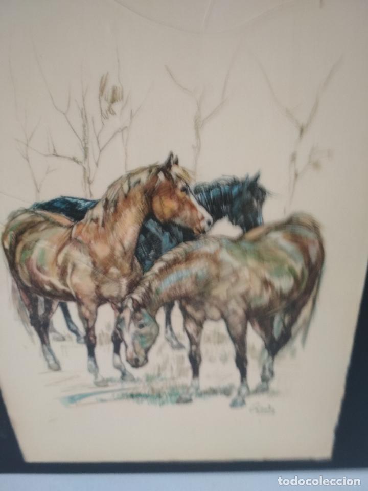 Arte: cuadro antiguo, de caballos, decoracion, - Foto 3