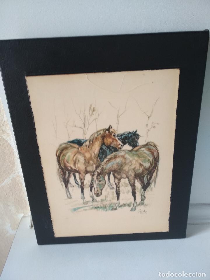 Arte: cuadro antiguo, de caballos, decoracion, - Foto 8